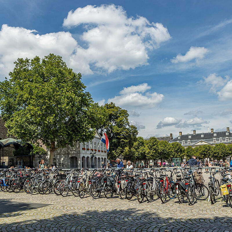 Faculteit Health Medicine and Life Sciences