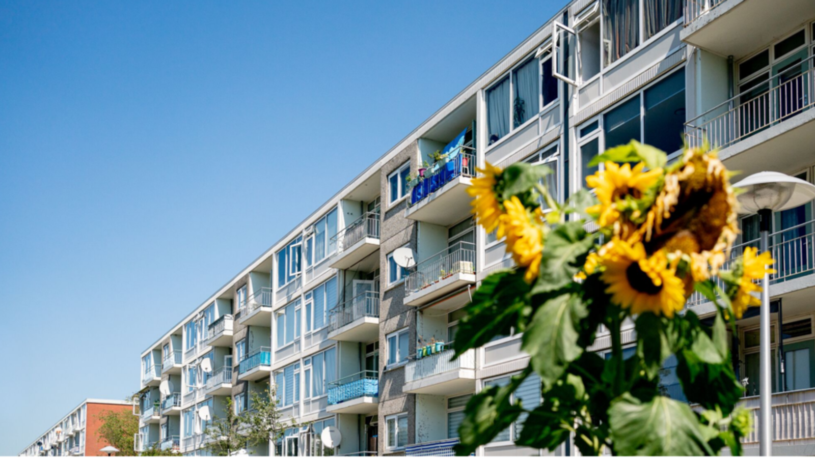 Aedes, vereniging van woningcorporaties