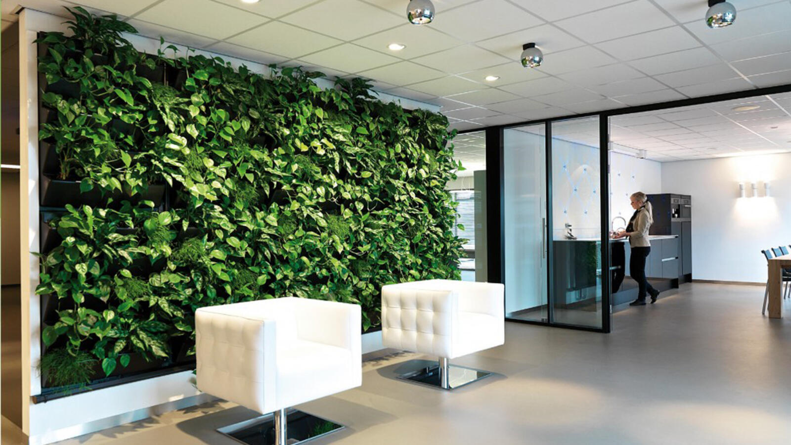 Levende kantoor muur