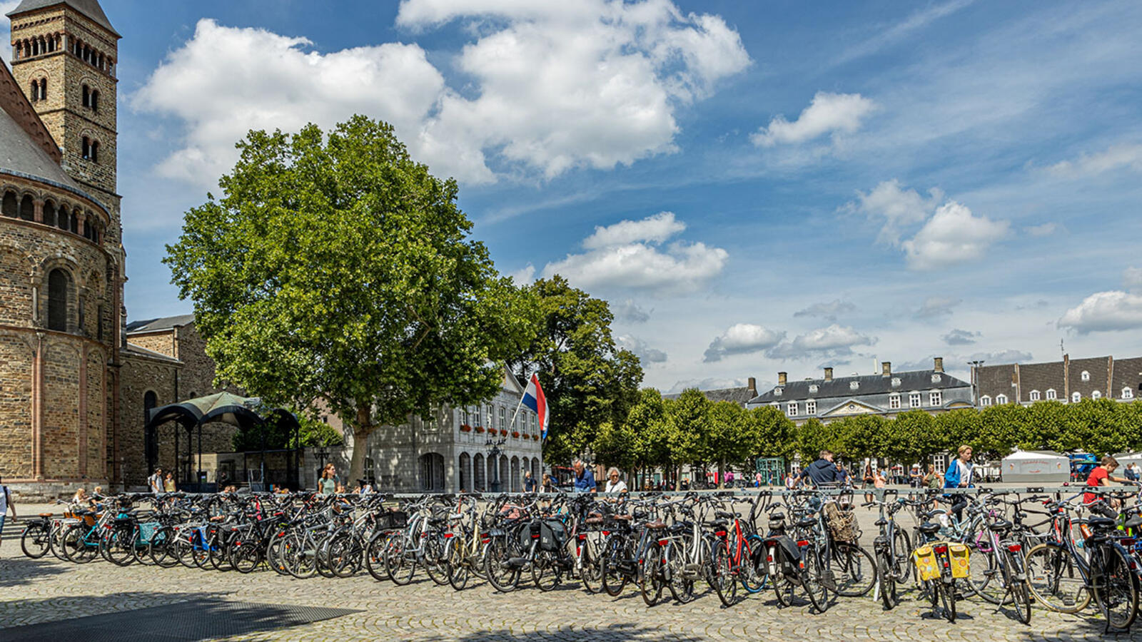 Faculteit Health Medicine and Life Sciences