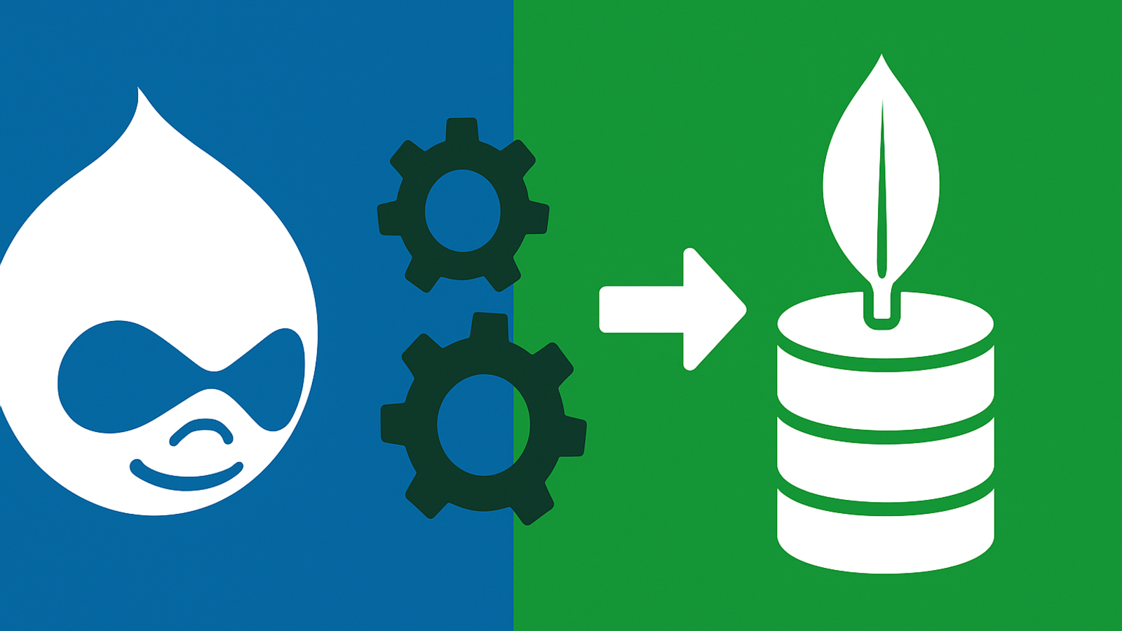 MongoDB meets Drupal 